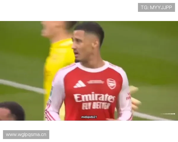 威廉·萨利巴：伤缺直接影响争冠走势