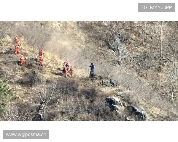 防线前第一屏障：坎特的战术定位