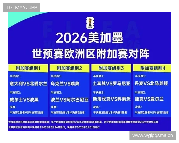 波黑队能否在2026世界杯预选赛突围晋级正赛关键因素分析